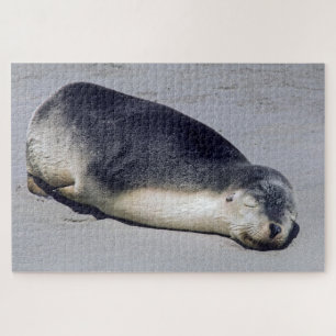 Young seal sleeping on a beach - Australia Jigsaw Puzzle