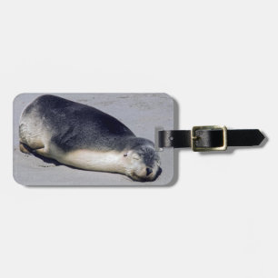 Young seal sleeping on a beach - Australia Luggage Tag