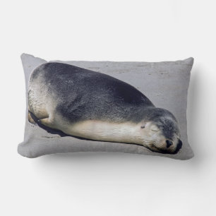 Young seal sleeping on a beach - Australia Lumbar Pillow