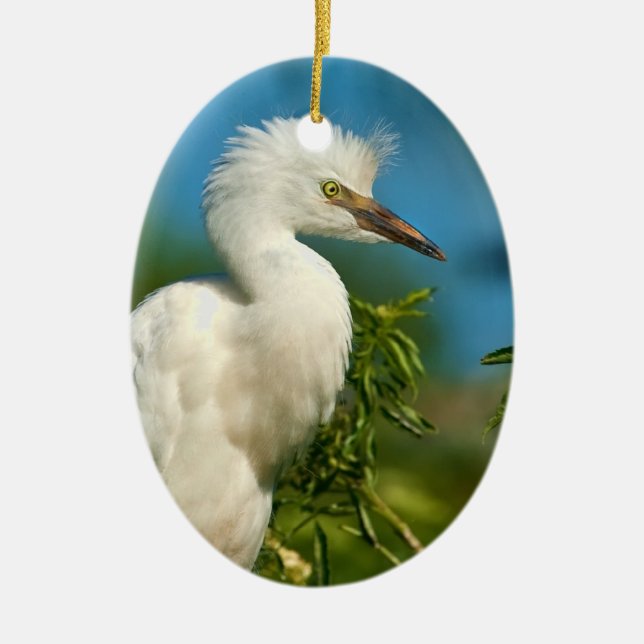 Young Snowy Egret Ornament (Front)
