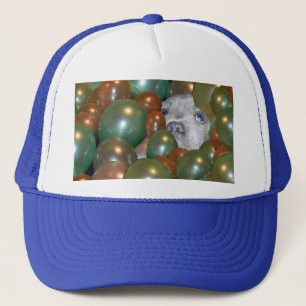 Young Staffy Hiding In Balloons, Hat