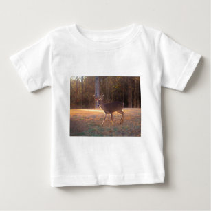 Young Stag Deer in the Sun Light Baby T-Shirt