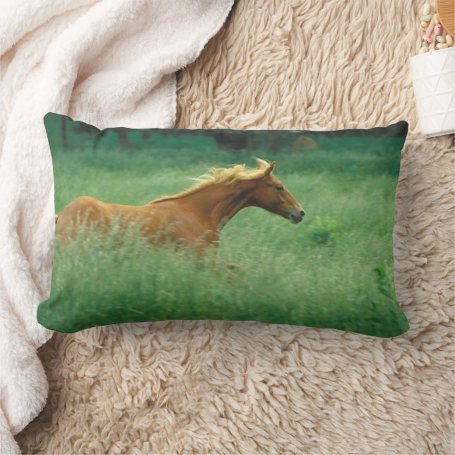 Young Stallion Runs Through Meadow Lumbar Pillow (Blanket)