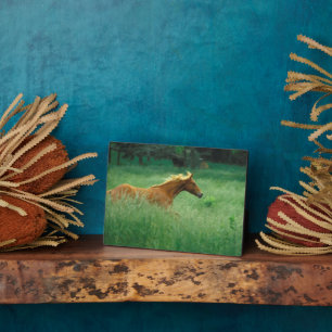 Young Stallion Runs Through Meadow Plaque