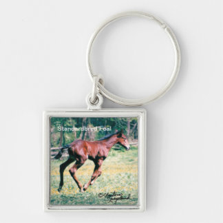 Young standardbred foal galloping Keychain