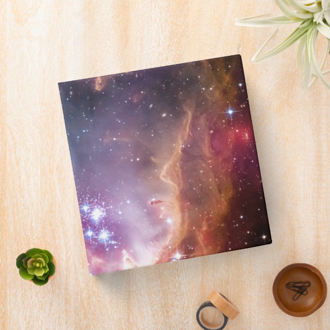 Young Stars In The Small Magellanic Cloud. Binder (In Situ)