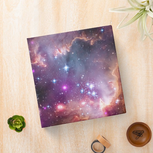 Young Stars In The Small Magellanic Cloud. Binder (In Situ)
