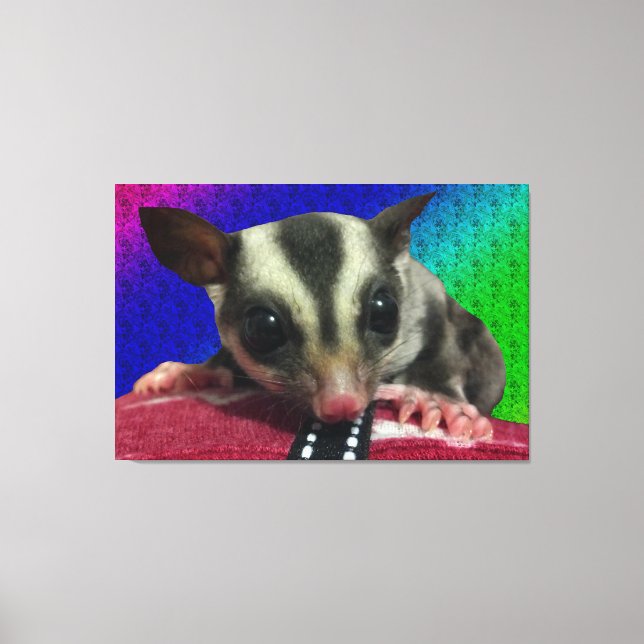 Young Sugar Glider Canvas (Front)