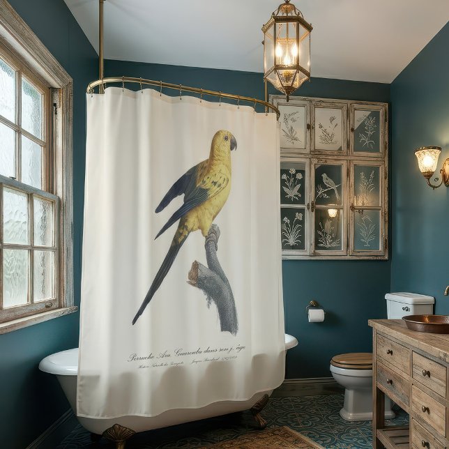 Young Sun Parakeet or Conure Aratinga solstitialis (Guarouba dans sons jeune age / Sun parakeet. Shower Curtain)