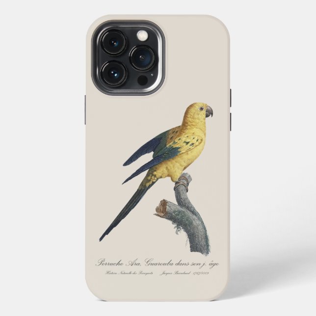 Young Sun Parakeet or Conure Aratinga solstitialis iPhone Case (Back)