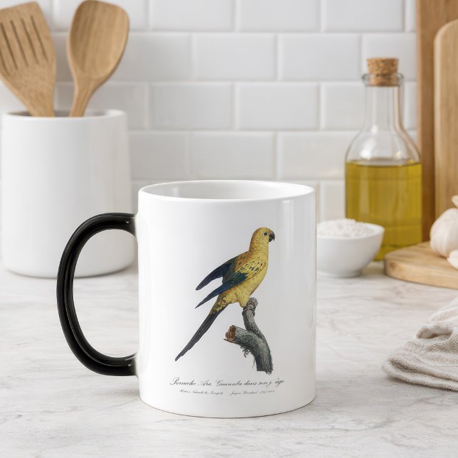 Young Sun Parakeet or Conure Aratinga solstitialis Magic Mug (Guarouba dans sons jeune age / Sun parakeet. Color Morph Mug)