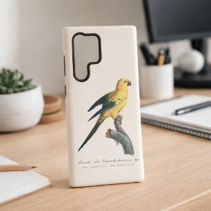 Young Sun Parakeet or Conure Aratinga solstitialis Samsung Galaxy Case
