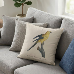 Young Sun Parakeet or Conure Aratinga solstitialis Throw Pillow