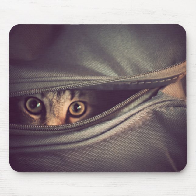 Young Tabby Kitten Mouse Pad (Front)