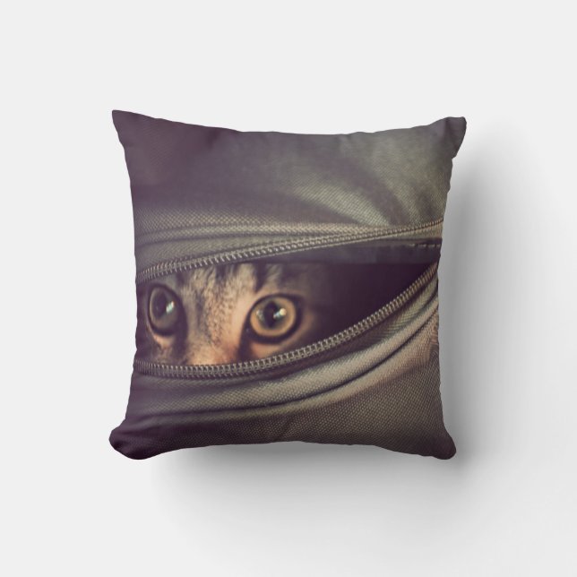 Young Tabby Kitten Throw Pillow (Front)