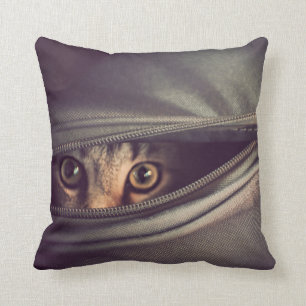 Young Tabby Kitten Throw Pillow
