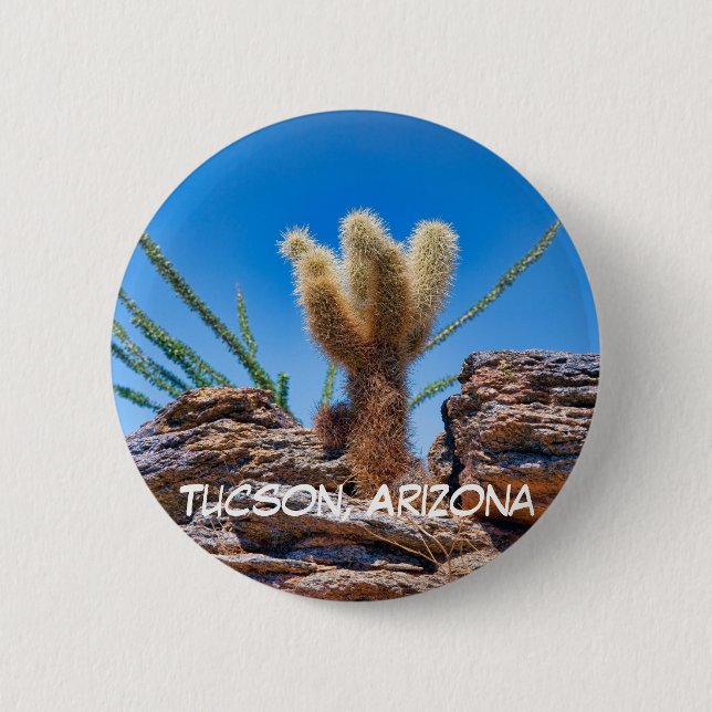 Young Teddy Bear Cholla Cactus, Tucson 2 Inch Round Button (Front)