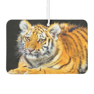 Young Tiger Air Freshener