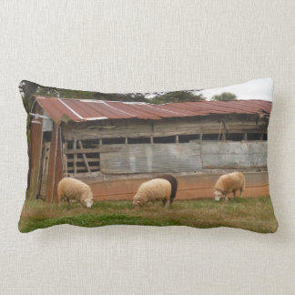 Young White Sheep on the Farm Photo by Sandy Closs Lumbar Pillow