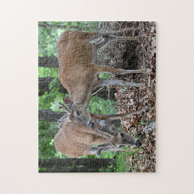 Young Whitetail Deer Bucks In Velvet Jigsaw Puzzle (Vertical)