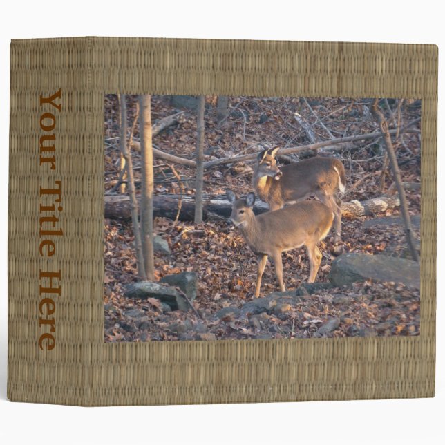 Young Whitetail Deer Series Binder (Front/Spine)