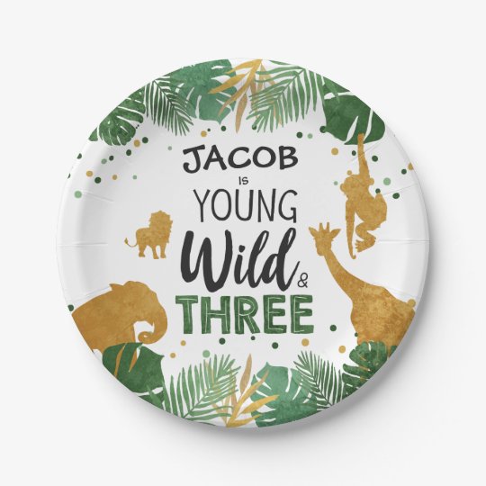 Young Wild and Three birthday Safari Animals Boy Paper Plate | Zazzle.ca