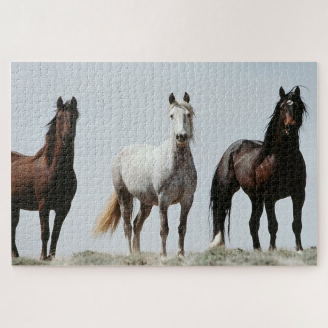 Young Wild Stallions Jigsaw Puzzle (Horizontal)