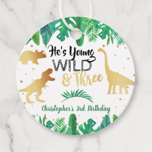 Young Wild & Three Dinosaur Boys 3rd Birthday Favour Tags