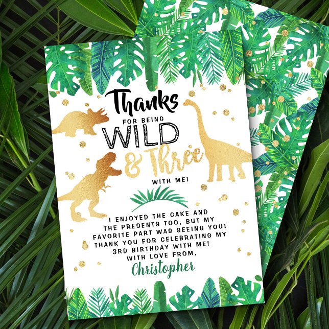 Young Wild & Three Dinosaur Boys Third Birthday Thank You Card (Creator Uploaded)