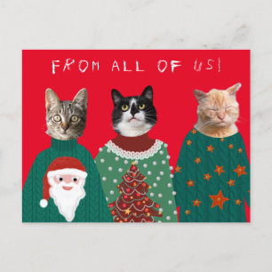 Your 3 Cats in Ugly Christmas Sweaters Postcard