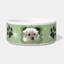 Your A Star Dog Dish - Customize Photo