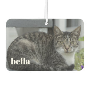 Your Cat Name and Pet Photo Template Air Freshener