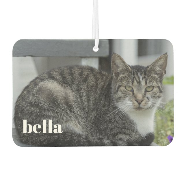 Your Cat Name and Pet Photo Template Air Freshener (Front)