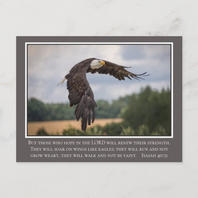 Your CoIor Wings like Eagles Isaiah 40:31 Bible Postcard (Front)
