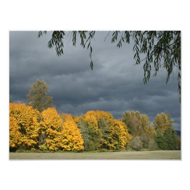 Your Custom 16" x 12" Photo Enlargement (Front)