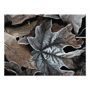 Your Custom 16" x 12" Photo Enlargement