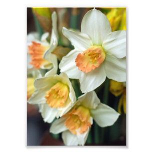 Your Custom 5" x 7" Photo Enlargement Print