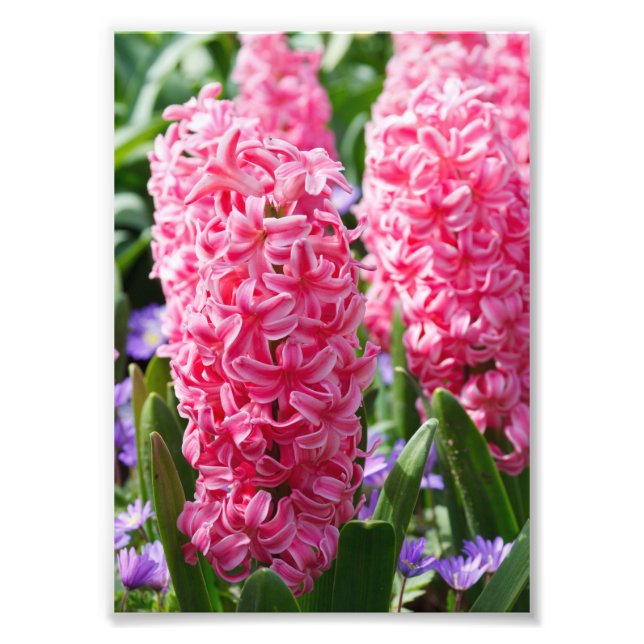 Your Custom 5" x 7" Photo Enlargement Print (Front)