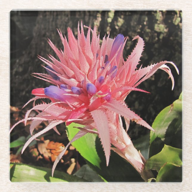 Your Custom Glass Coaster (Front)