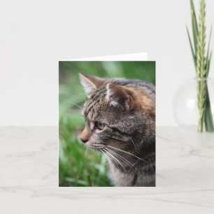 Your Custom Note Card