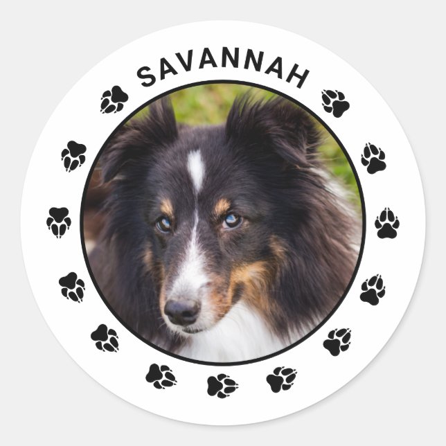 Your Custom Pet Photo With Name & Paws Classic Round Sticker (Front)