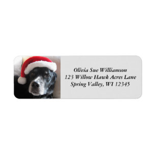 Your Custom Santa Dog Return Address Labels