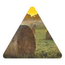 Your Custom Triangle Stickers