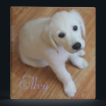 Your cute pet on a binder<br><div class="desc">Perfect for your dog's medical records,  paperwork,  vaccinations,  diet,  and even pictures</div>