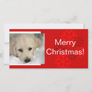 Your Dog Photo Snowflake Christmas Card