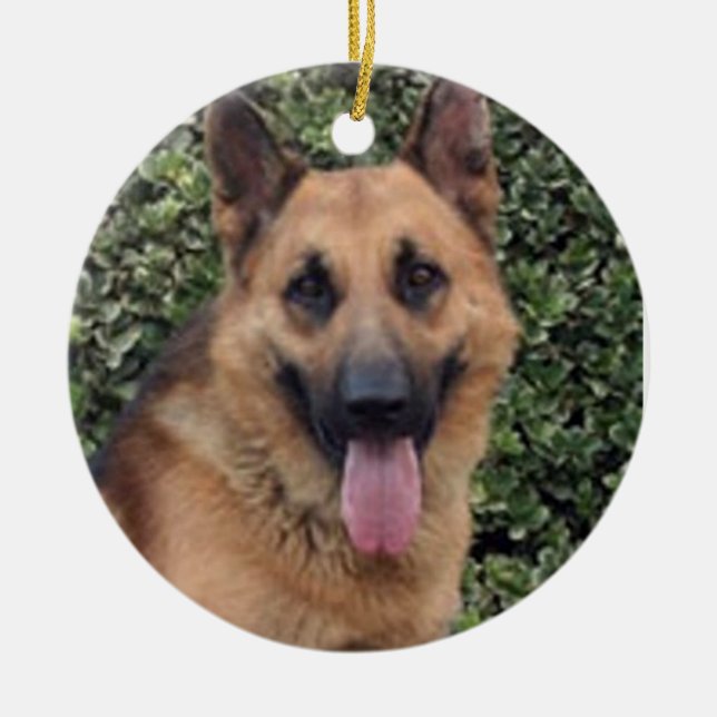 "Your Dog's Face" Ornament (Front)