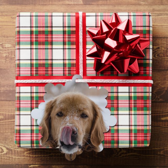Your Dog's Photo Christmas Ornament Card (Insitu (Gift))