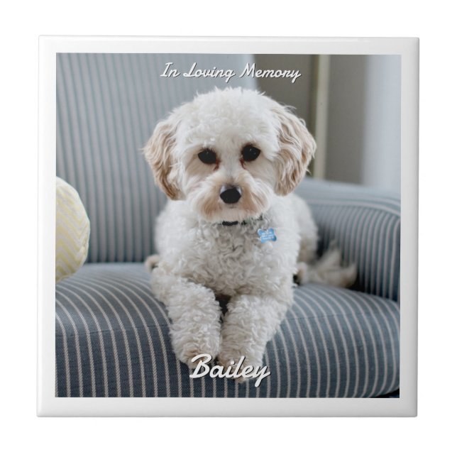 Your Dog's Photo, Script Name, In Loving Memory Tile (Front)