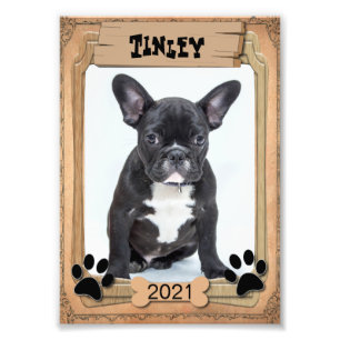 Your Family Pet - Decorative Photo Template