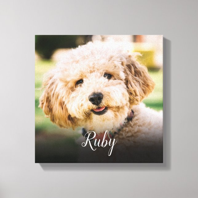 Your Favourite Pet Photo Canvas Print (Front)
